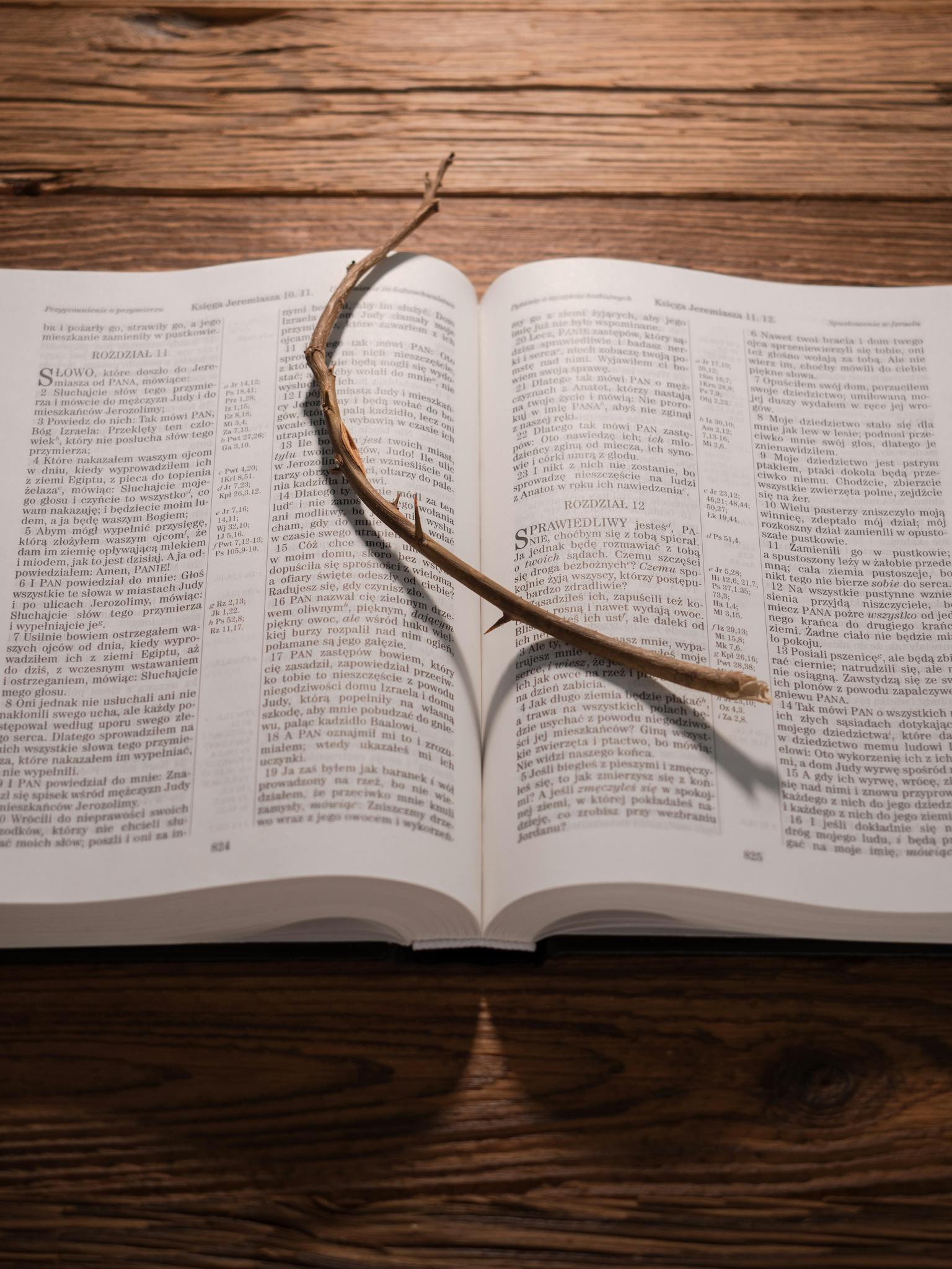An open Bible with a twig resting on a wooden table under warm light.